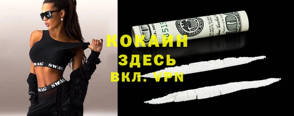 прущая мука Тында