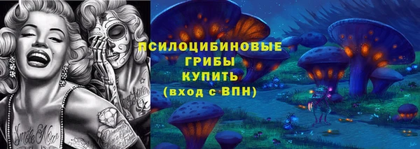 герыч Тутаев