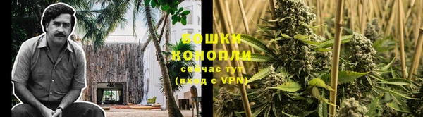 прущая мука Тында