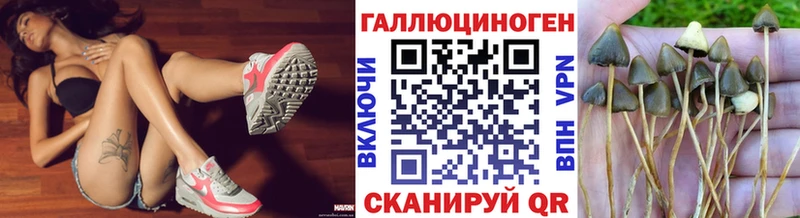 Псилоцибиновые грибы мицелий Иннополис